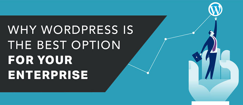 Why WordPress is the Best Option for Your Enterprise