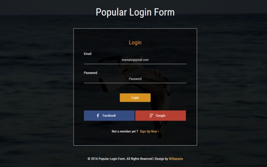 Popular Login Form